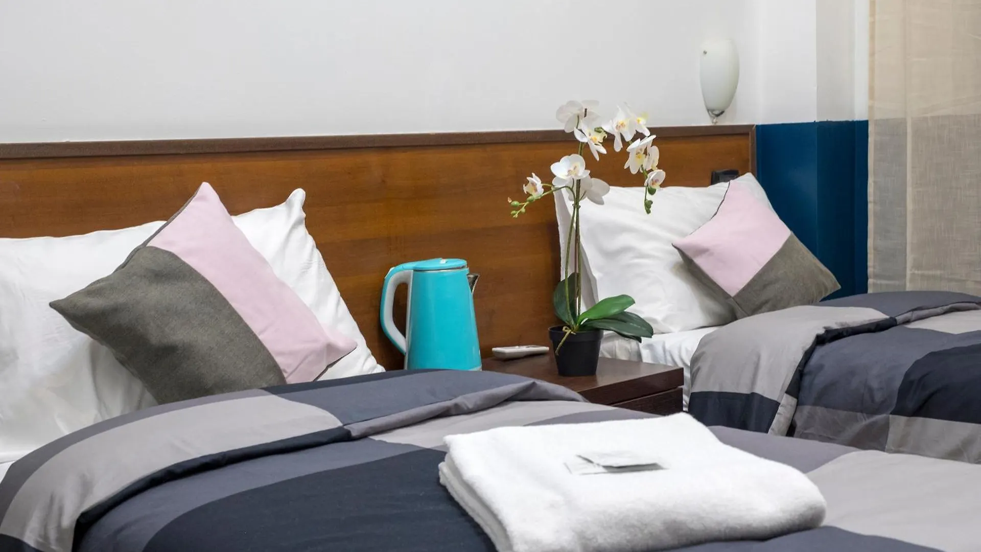 Stella Guest House O Affittacamere 罗马