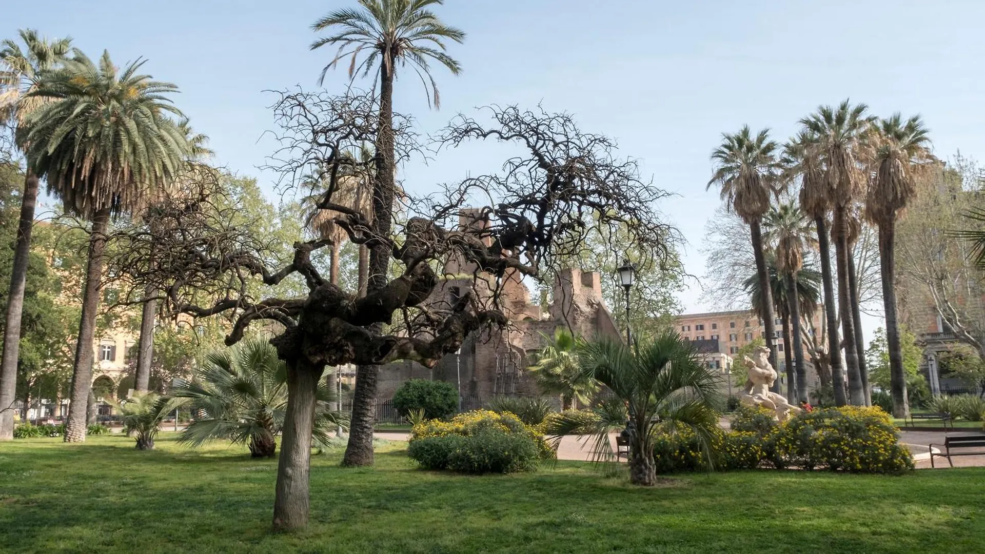 Stella Guest House O Affittacamere Roma Italia